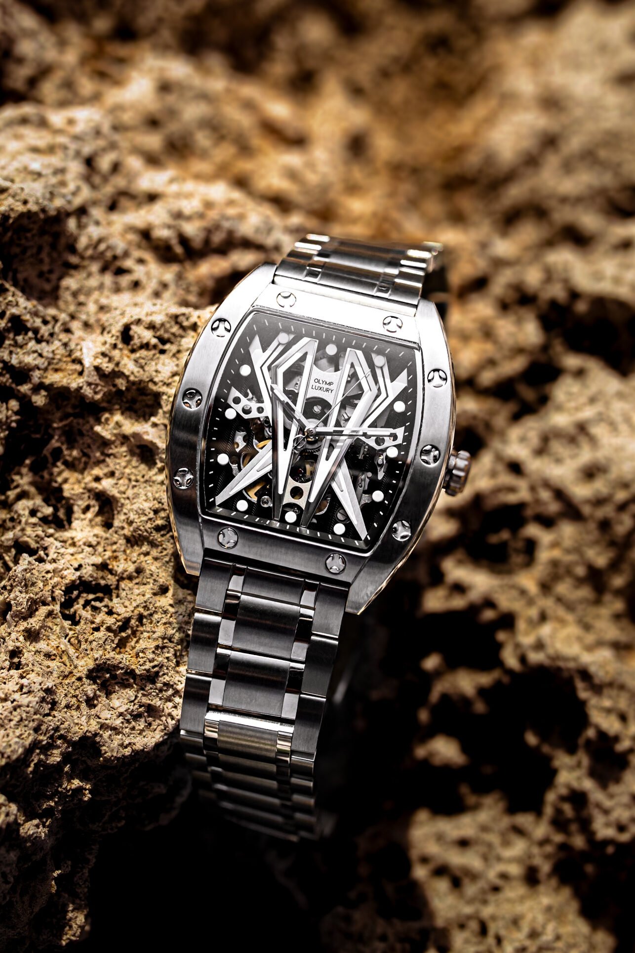 hotographie packshot d’une montre de luxe posée sur une roche